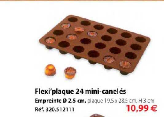 flexi'plaque 24 mini canelés