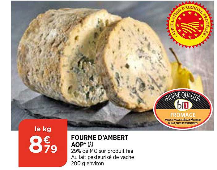 fourme d'ambert aop