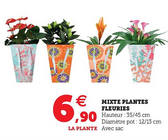 mixte plantes fleuries
