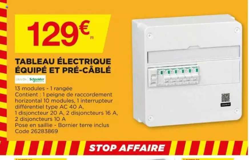 Tableau électrique équipé Et Pré-câblé Schneider