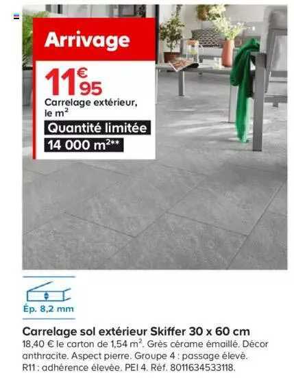 carrelage sol extérieur skiffer 30x60 cm