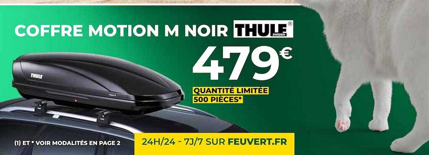 coffre motion m noir thule