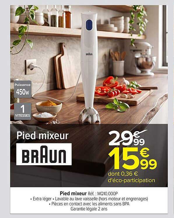 Braun Pied mixeur