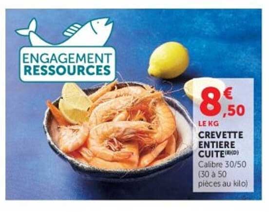 ENGAGEMENT RESSOURCES