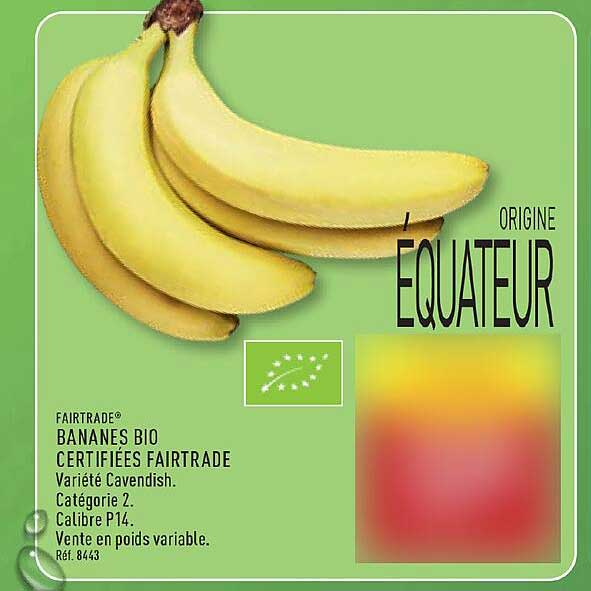 FAIRTRADE BANANES BIO
