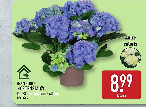 GARDENLINE HORTENSIA