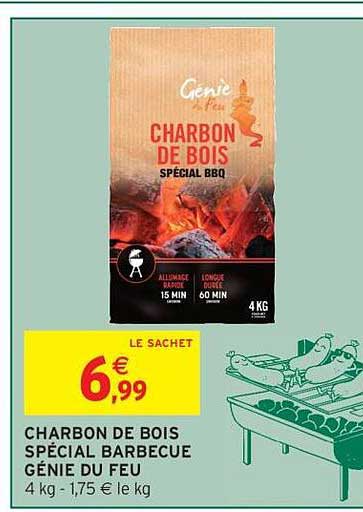 Génie du Feu Charbon de bois spécial BBQ