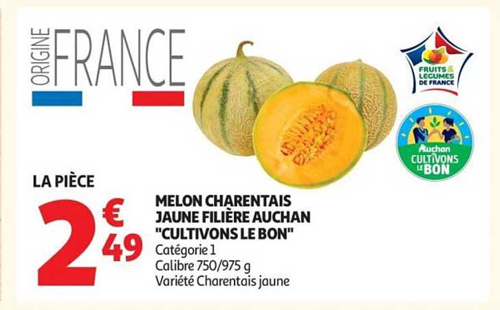 Melon Charentais Jaune Filière Auchan