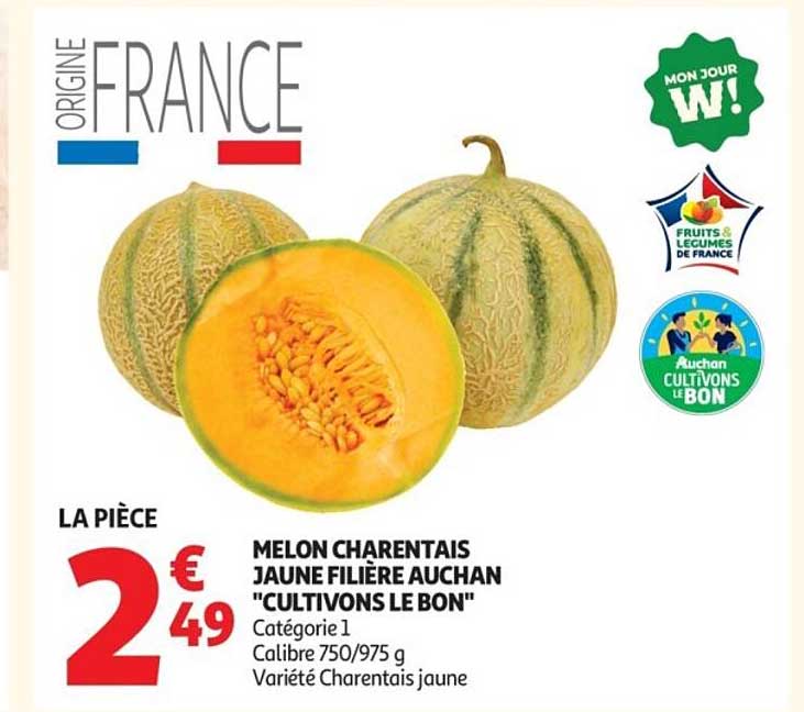 Melon charentais jaune