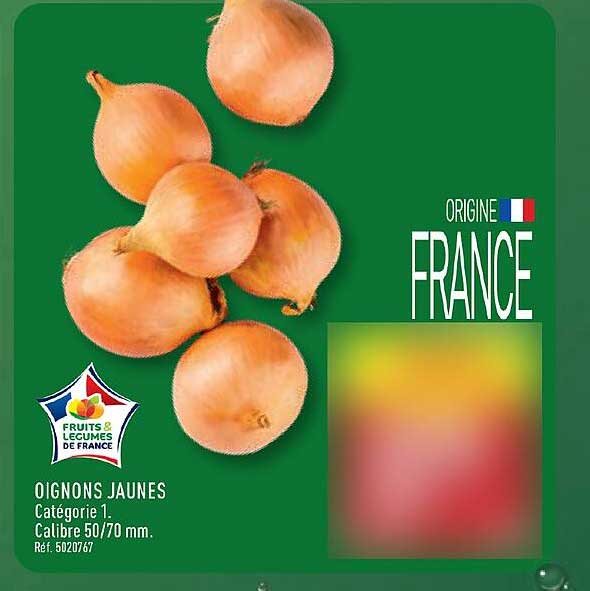 OIGNONS JAUNES