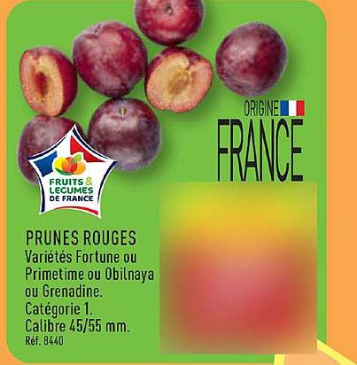 PRUNES ROUGES