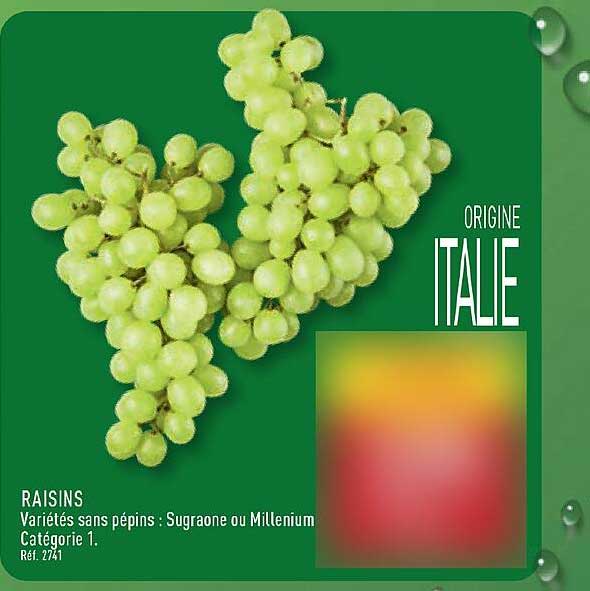 RAISINS