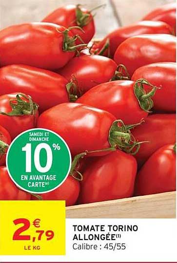TOMATE TORINO ALLONGEE