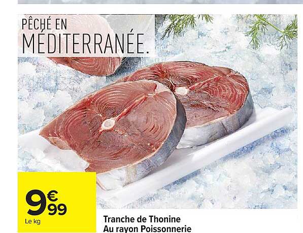 Tranche de Thonine