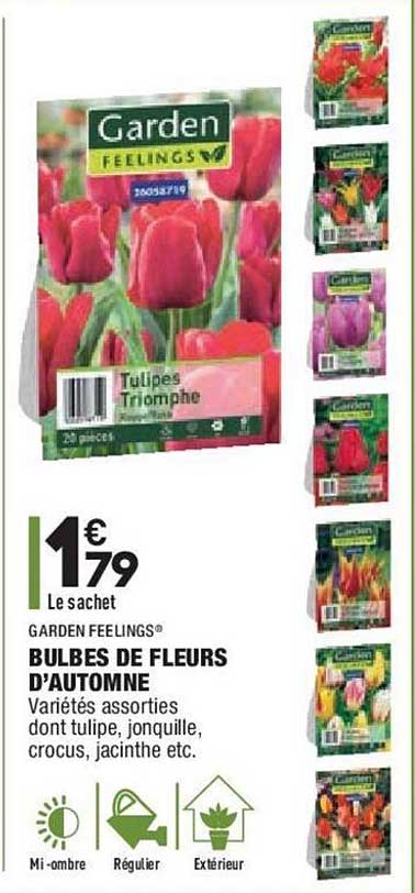 bulbes de fleurs d'automne garden feelings