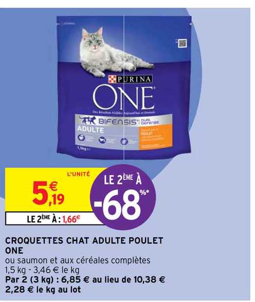 Croquettes Chat Adulte Poulet One