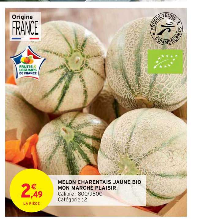 melon charentais jaune bio mon marché plaisir