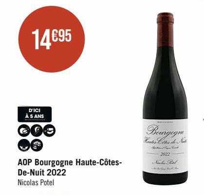 aop bourgogne haute-Côtes-De-Nuit 2022 nicolas potel