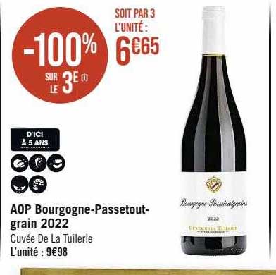 aop bourgogne-Passetout-grain 2022 cuvée de la tuilerie