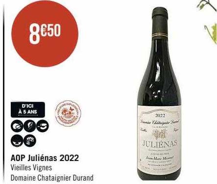aop juliénas 2022 vieilles vignes domaine chataignier durand