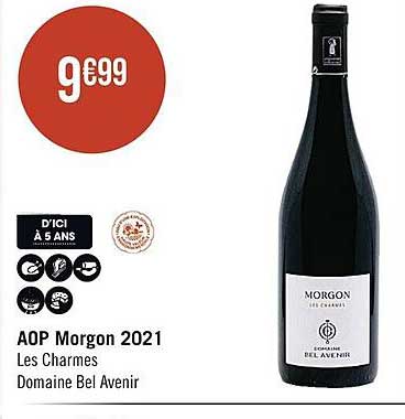 aop morgon 2021 les charmes domaine bel avenir