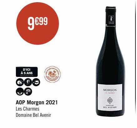 aop morgon 2021 les charmes domaine bel avenir