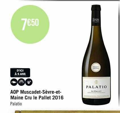 aop muscadet-Sèvre-et-Maine cru le pallet 2016 palatio