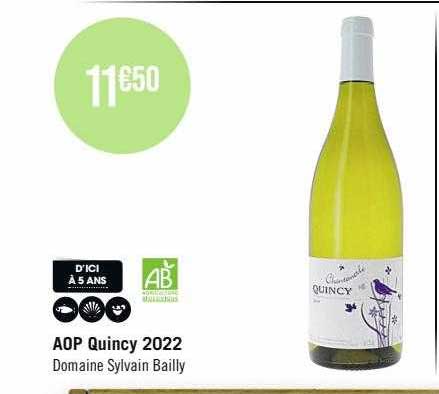 aop quincy 2022 domaine sylvain bailly