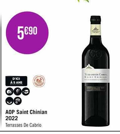 aop saint chinian 2022 terrasses de cabrio