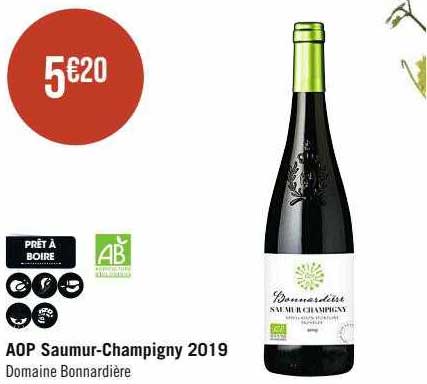 aop saumur-Champigny 2019 domaine bonnardière