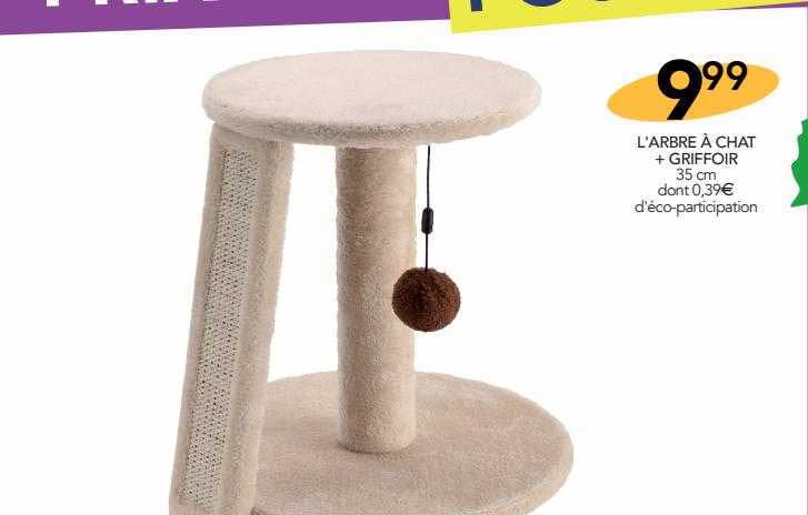 l'arbre à chat + griffoir