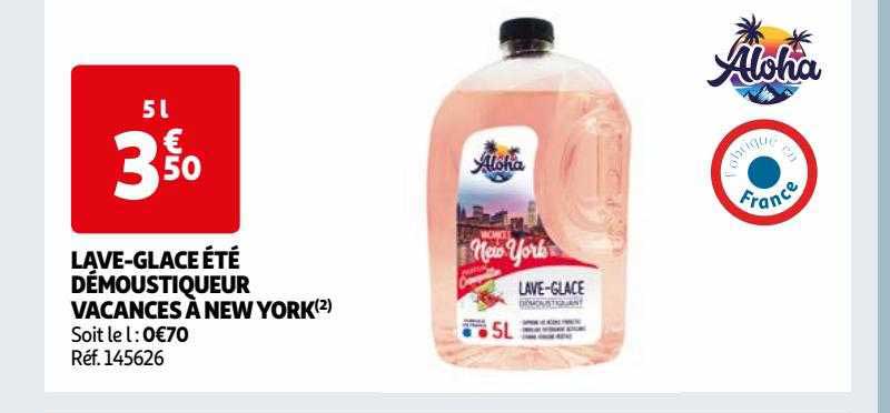 lave-glace été démoustiqueur vacances à new york