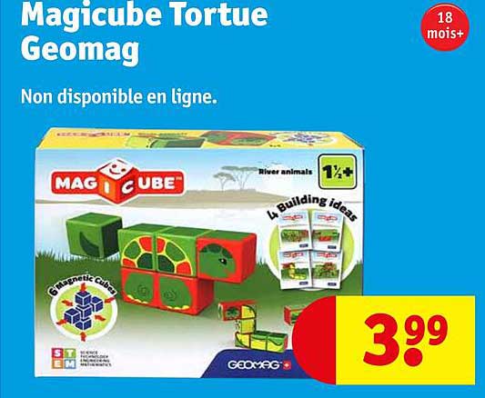 magicube tortue geomag