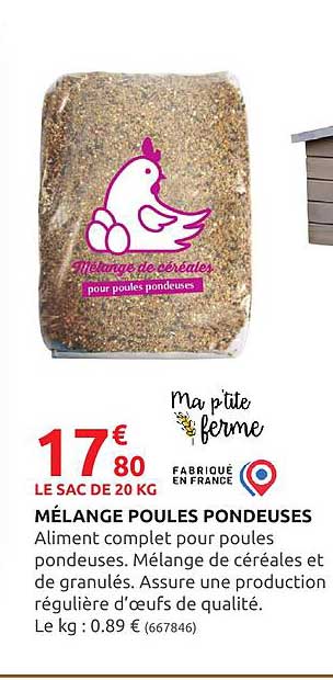 mélange poules pondeuses