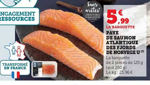 Pavé De Saumon Atlantique Des Fjords De Norvège U