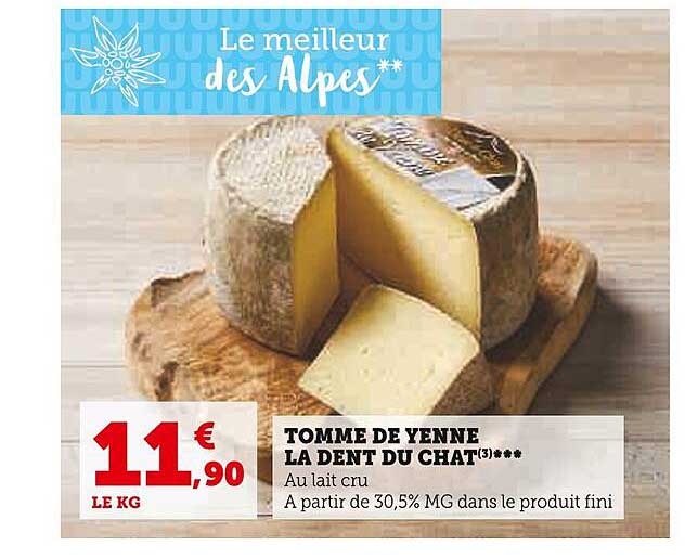 tomme de yenne la dent du chat