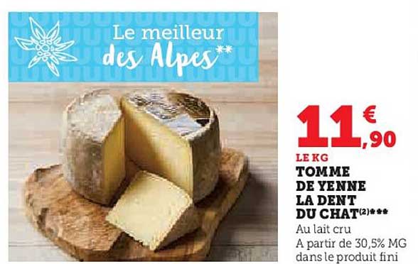tomme de yenne la dent du chat