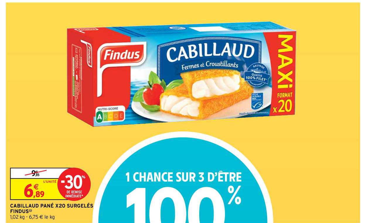 cabillaud pané x20 surgelés findus
