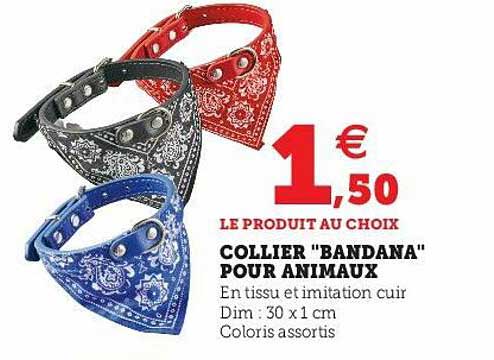 Collier "bandana" Pour Animaux