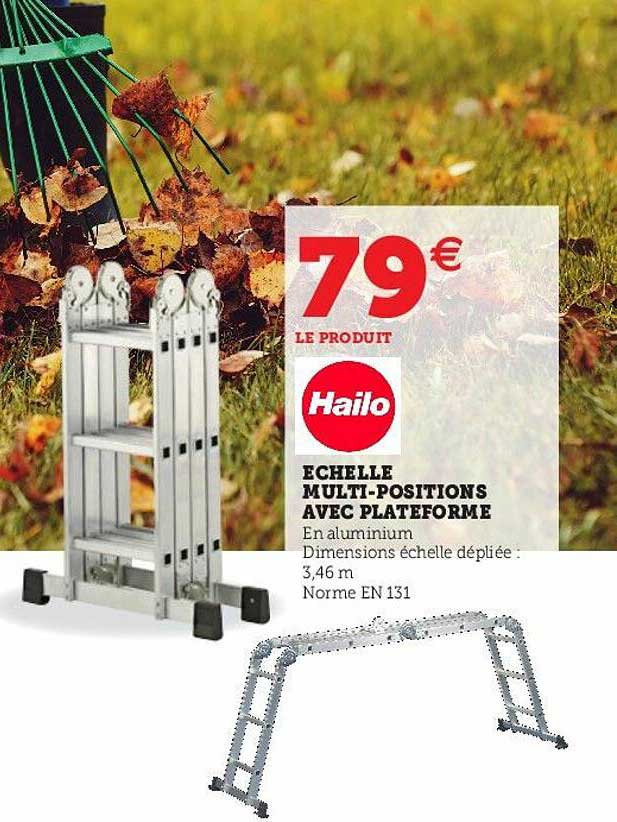 échelle multi-positions avec plateforme