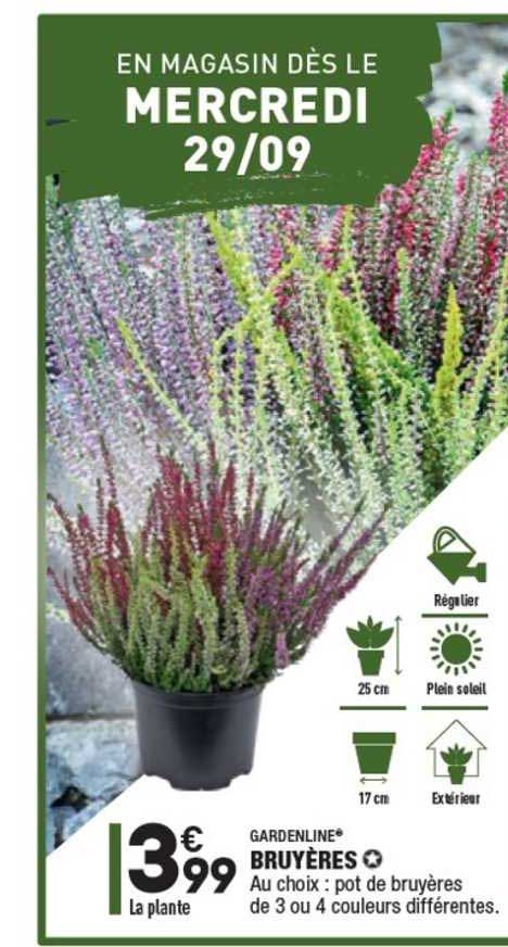 Gardenline Bruyères