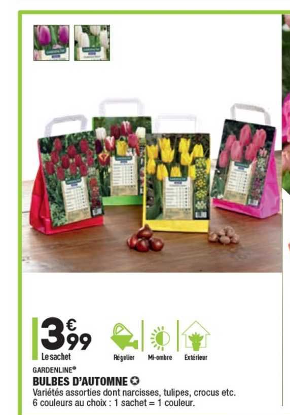 gardenline bulbes d'automne