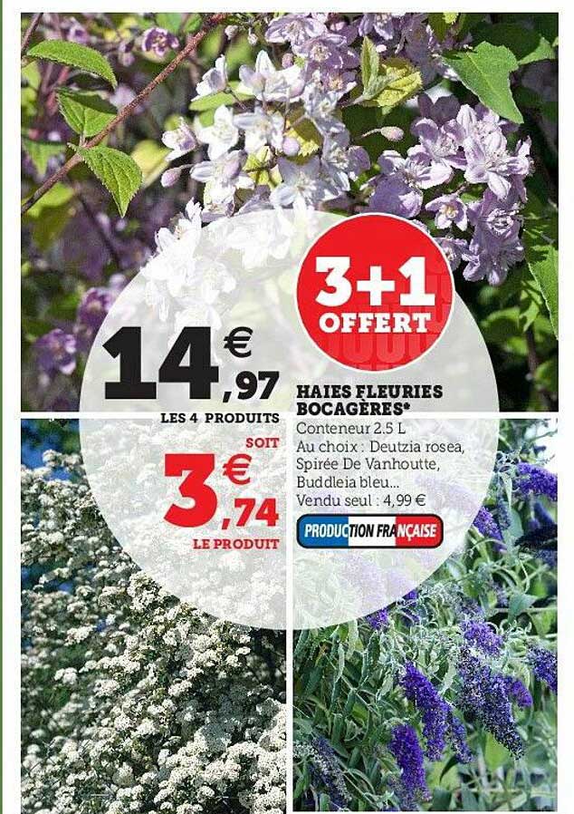 haies fleuries bocagères