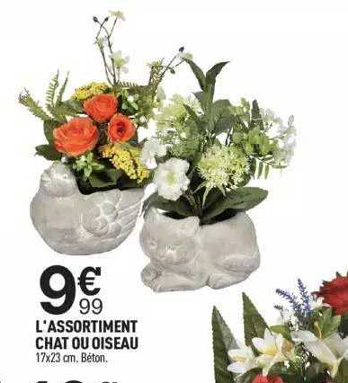 l'assortiment chat ou oiseau