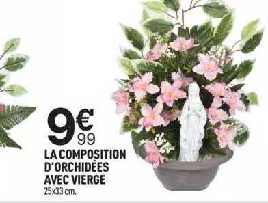 la composition d'orchidées avec vierge