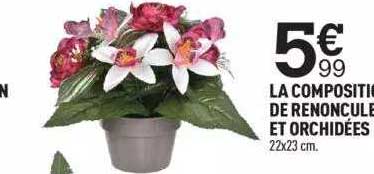 la composition de renoncule et orchidées