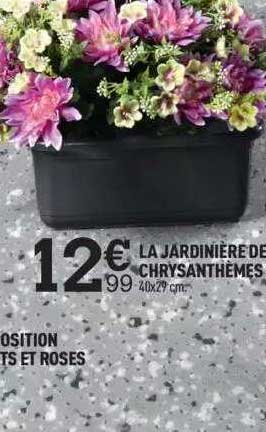 La Jardinière De Chrysanthèmes