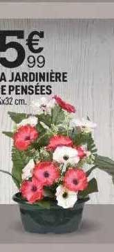La Jardinière De Pensées