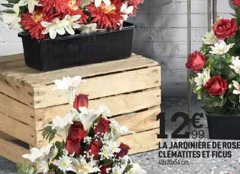 la jardinière de roses clématites et ficus