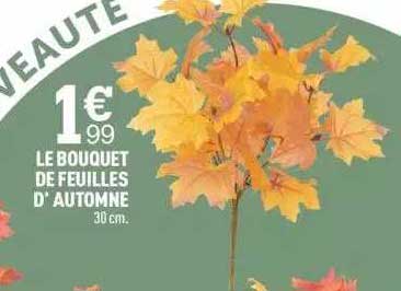 le bouquet de feuilles d'automne